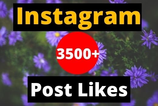 Give Instant 3500+ Instagram Likes on your Instagram post real & organic.