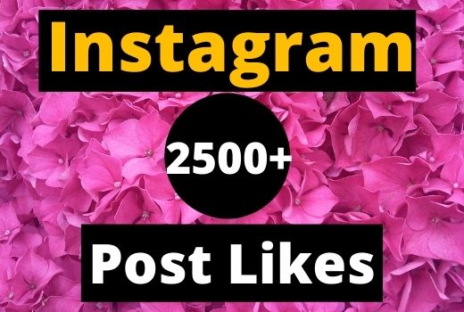 Give Instant 2500+ Instagram Likes on your Instagram post real & organic.