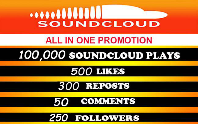 100,000 soundcloud plays with 500 likes, 300 reposts, 50 comments, 250 followers