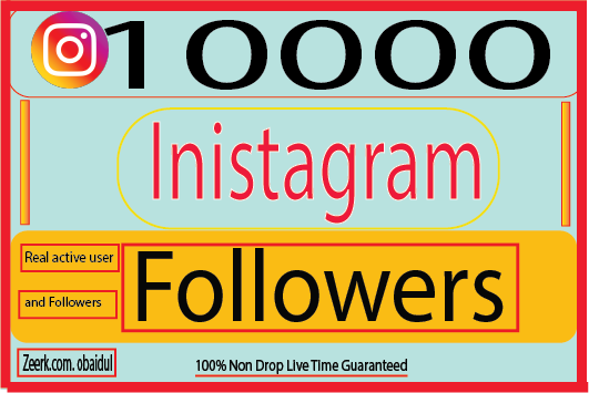 I Will provide 10000 Instagram Real Followers Real active user Non Drop! 100% Guaranteed