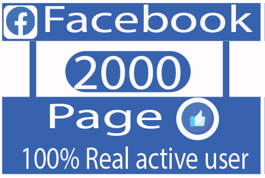I Need get 2000 facebook page like Real active User Non drop 100% live time Guaranteed