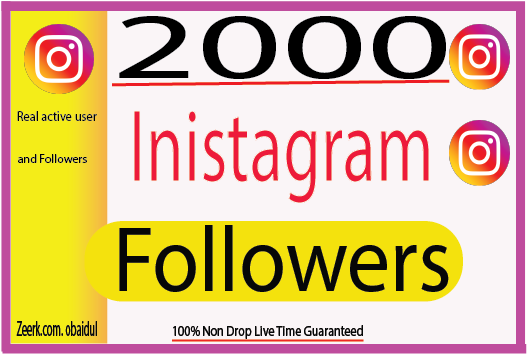 I will provide 2000 Instagram Real  Followers  And Non Drop 100% Live Time (Guaranteed)