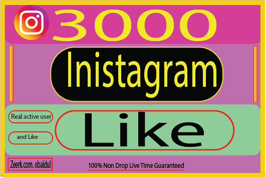 I will provide 3000 Instagram Like Real Activr User Non Drop 100% Live time Guaranteed