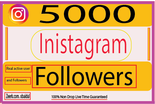 I will Provide 5000 Instagram Followers.Real Followers 100% Non Drop (Guaranteed)