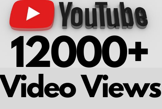 I will add 12000+ REAL AND non drop YouTube video views