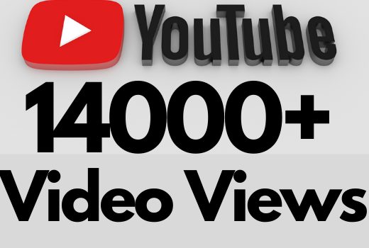 I will add 14000+ REAL AND non drop YouTube video views