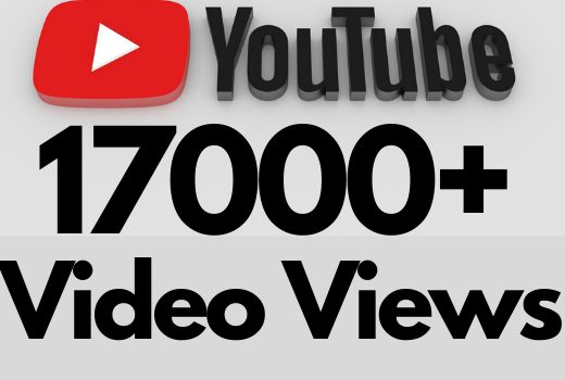 I will add 17000+ REAL AND non drop YouTube video views