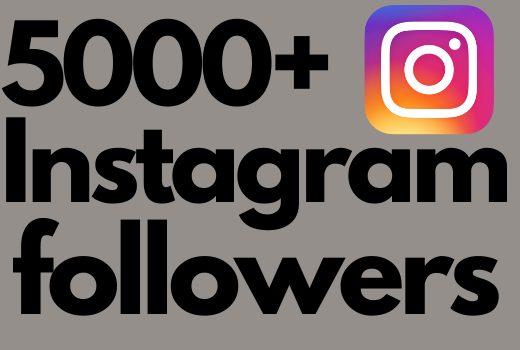 I will add 5000+ Instagram followers all followers are 100% real and organic.