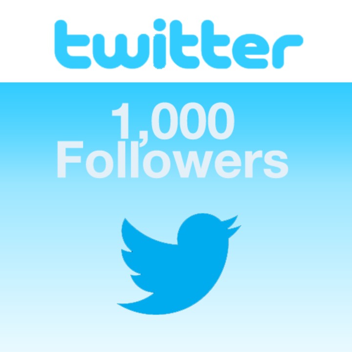 i send you 1000+ twitter followers