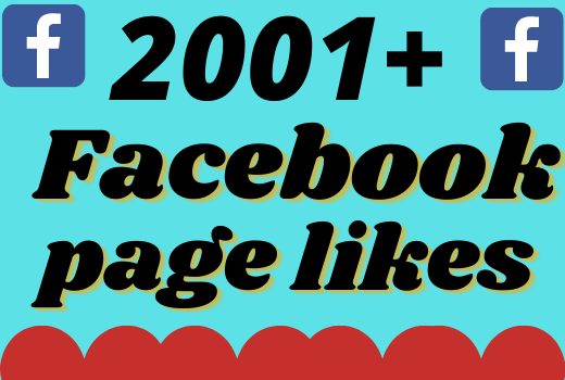 I will add 2001+ real and organic Facebook page likes