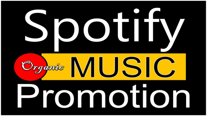 5,000 HQ Spotify Streams Plays Music Promotion