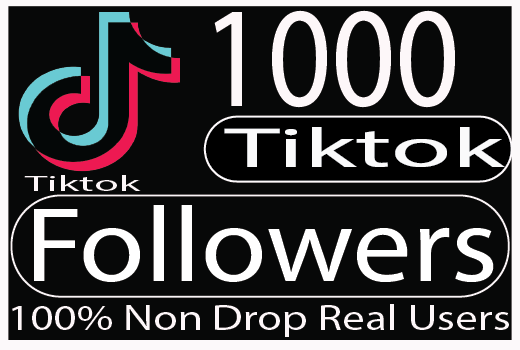 I will add fast tik tok 1000+ followers organically Real Non drop live time guaranteed