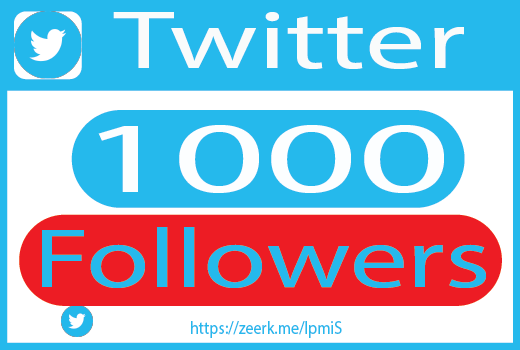 I will do organic 1000+ twitter Followers promotion and marketing, setup ads to increase followers