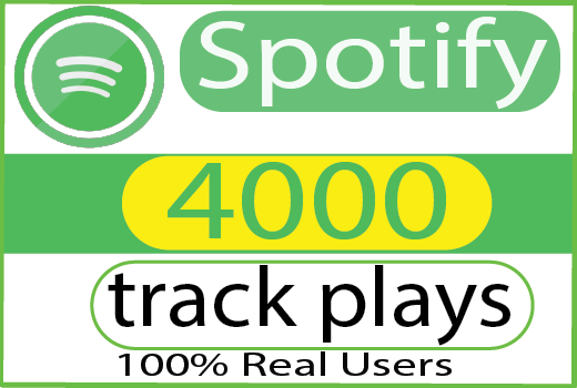 I will add 4000  organic  spotify music tracks  plays And Non Drop 100% Live Time Guaranteed