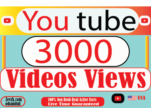 I will provite your 3000+ YouTube video views Non Drop 100% Live Time Guaranteed