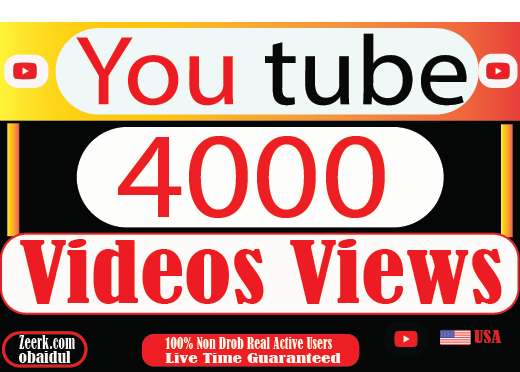 I will do your 4000 youtube video views Non Drop 100% Live Time Guaranteed