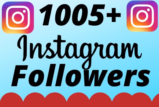 I will add 1005+ real and organic  Instagram followers for your business
