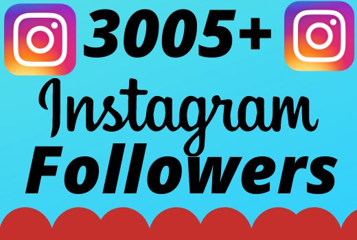 I will add 3005+ real and organic  Instagram followers for your business