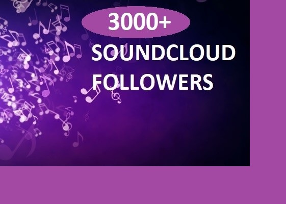 Give you 3000 soundcloud followers Real