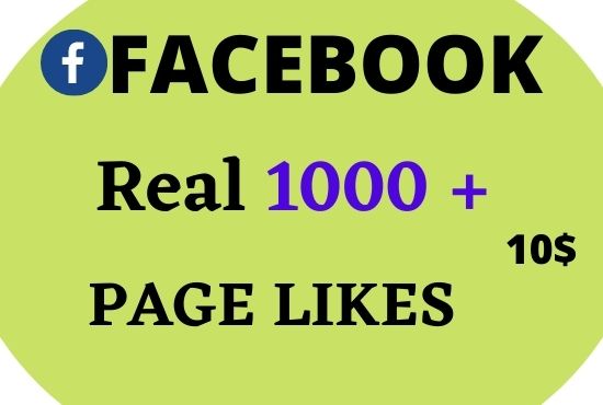1000 Real Facebook Page Likes Lifetime Guarantee