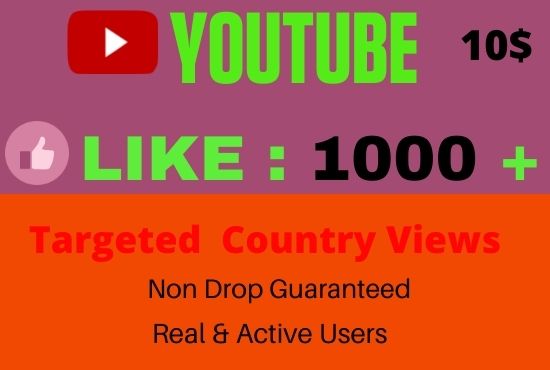 I Will give Organic YouTube Promotion 1000 Likes