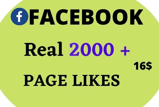 I will give 2000+ Real Facebook Page likes Non Drop in 24 Hours