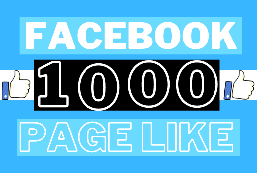 Get 1000+ Facebook Page likes Lifetime Guaranteed