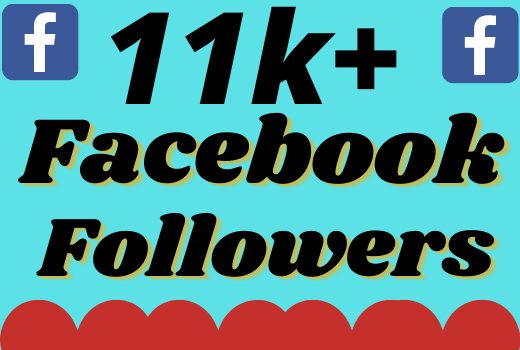 I will add 11000+ real and organic Facebook followers