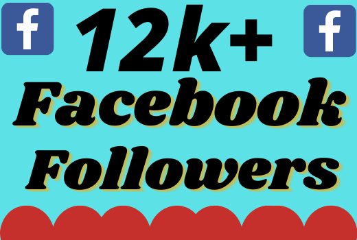 I will add 12000+ real and organic Facebook followers