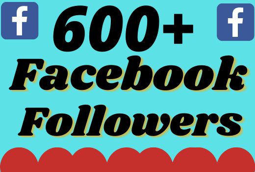 I will add 600+ real and organic Facebook followers