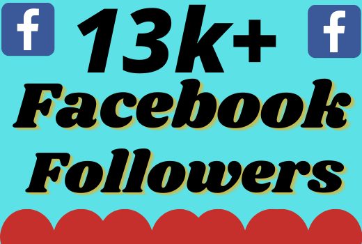 I will add 13000+ real and organic Facebook followers