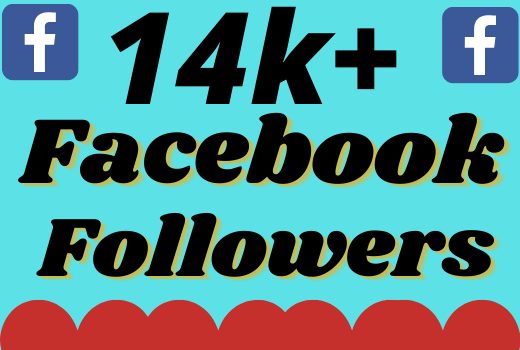 I will add 14000+ real and organic Facebook followers
