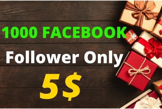 I will grow your Facebook page following fast