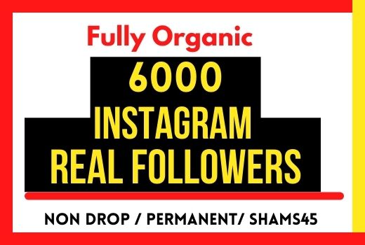 Get 6000+ Instagram Followers, Non-drop and Permanent