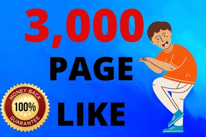 3000 Real Facebook Page Likes 3000 Page Followers. Lifetime Guarantee