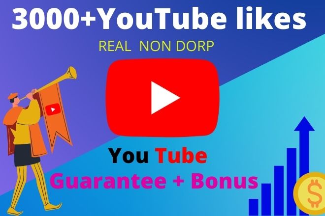 I will Provide 3000+ Real Non Drop YouTube LIKES