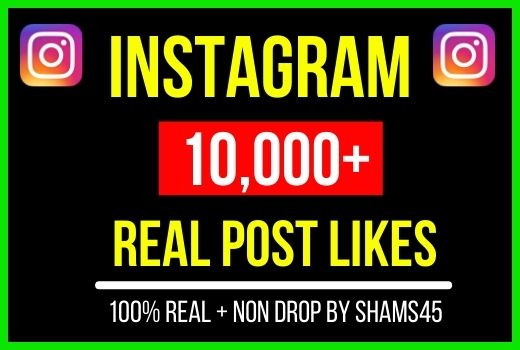 Get 10,000 Instagram Likes – 100% Real Non-drop and Lifetime Permanent