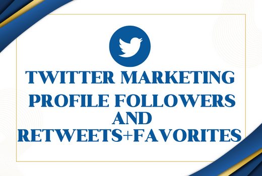 Twitter Marketing | Profile And Post promotion