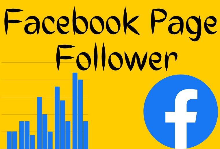 I Will Get You 5,000+ Facebook Page Likes/Followers, Permanent And Active Users For Lifetime Guarantee
