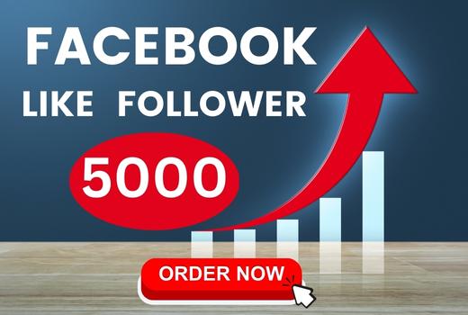 5000 Facebook Page Likes Followers nondrop