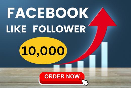 10,000 Facebook Page Likes Followers nondrop