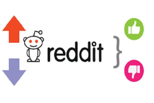 I will increase reddit upvote, karma, member and do promotion for your community