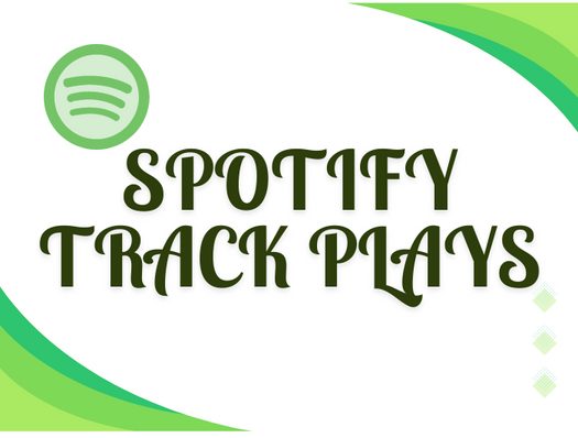 500 Spotify Track Plays and Spotify promotion