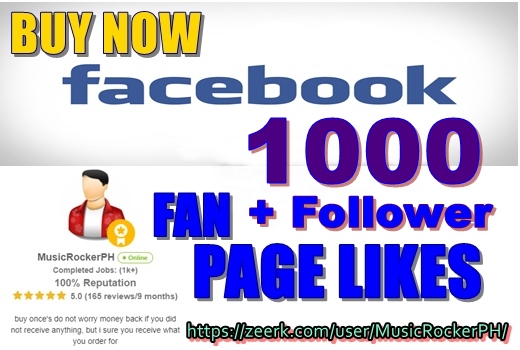 Facebook 1,000 Fan Page Like With Follower
