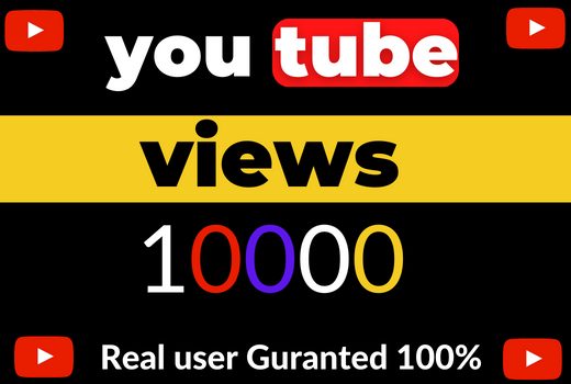 I will get 10000 YouTube views for your video 100% organic and non-drop