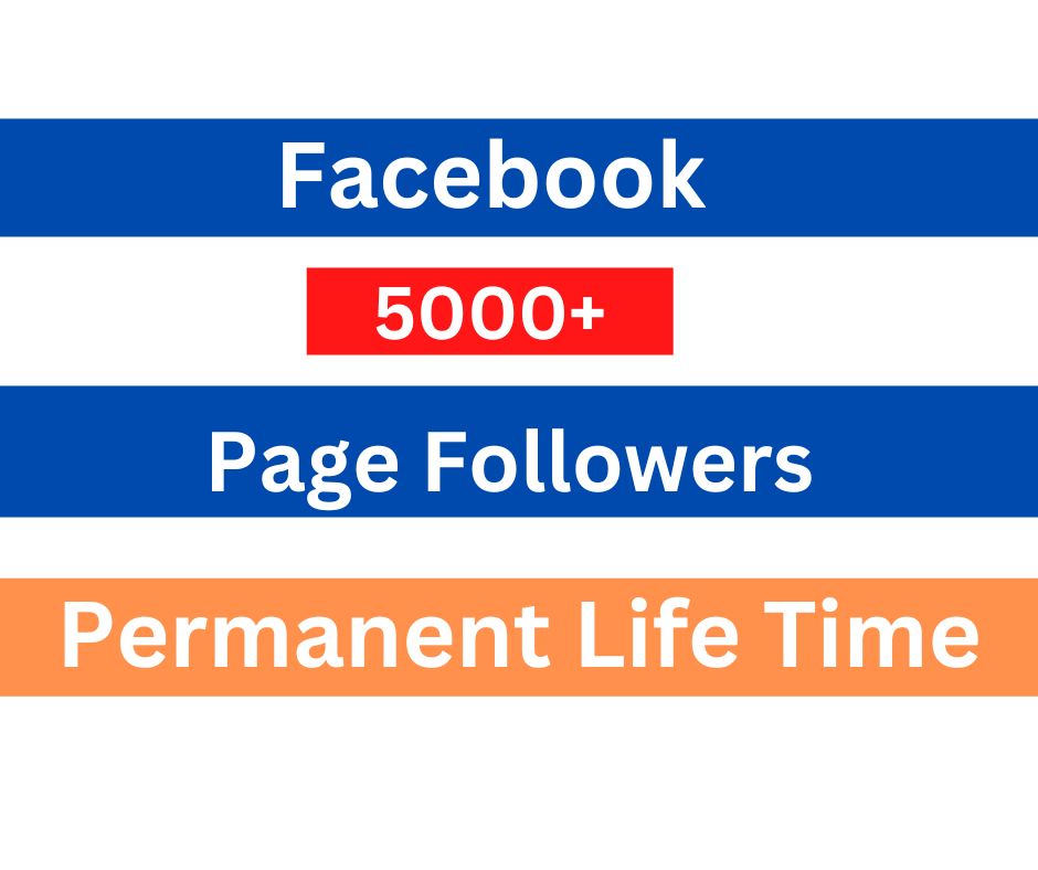 You will get 5000+ organic Facebook only Page Followers Permanent Lifetime