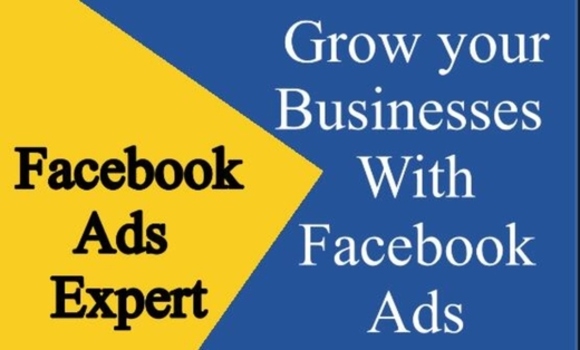 Professional Facebook Ads Campaign Expert for Targeted Traffic and High Conversions