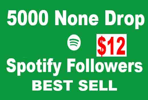 Add 5000 Spotify followers 100% High-Quality Account From TIER1 Countries.