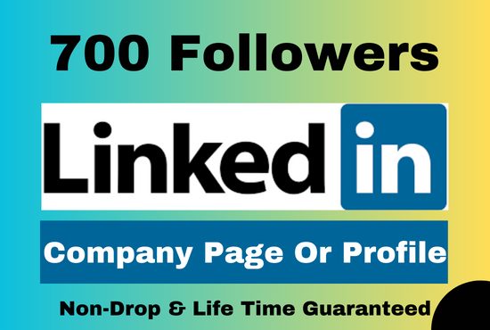 700 Linkedin follower Company page or Profile Permanent