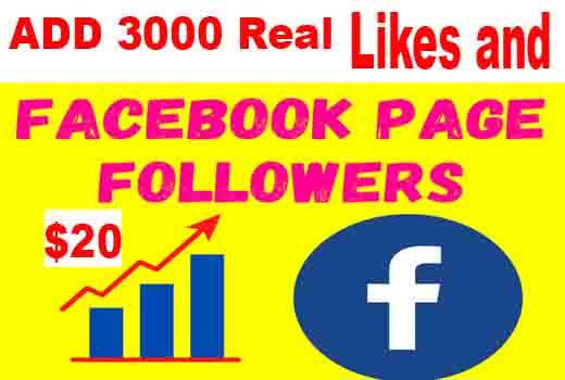 Add 3000 Facebook Real Followers and 3000 Real likes, Guarantee service